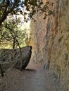 Shaded Trail Through Whitewater Canyon